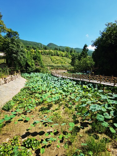 大水井文化旅游区