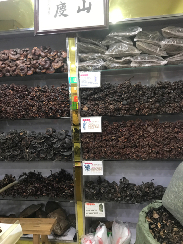 李梅灵芝特产