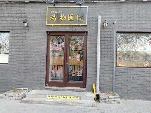 好伙伴动物医院
