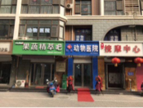 清风动物医院