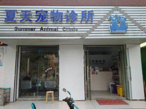 夏天宠物诊所