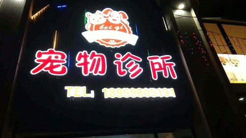 贝琪宠物诊所
