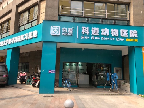 科道宠物(南湖分院)