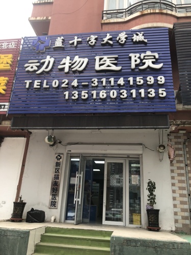 蓝十字大学城动物医院