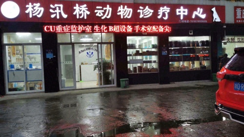 杨汛桥动物诊疗中心