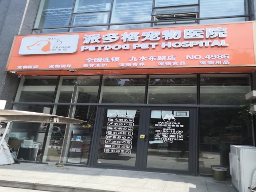 宝可梦国际动物医院