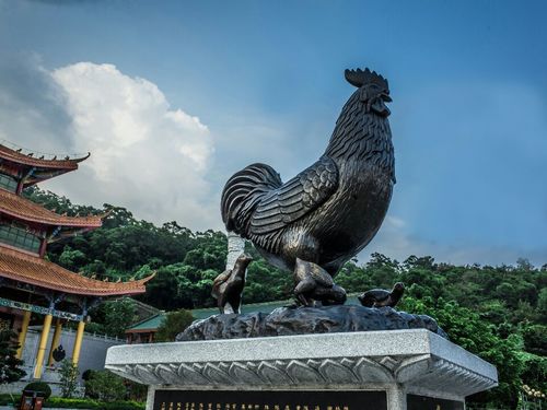 金鸡寺