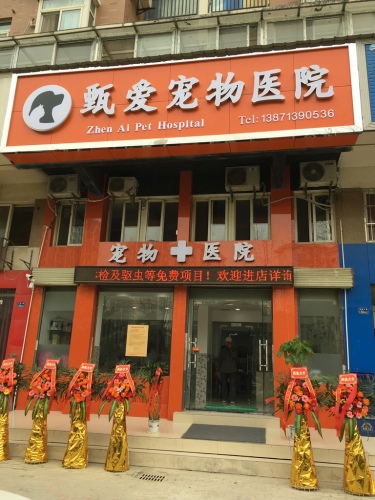甄爱宠物医院