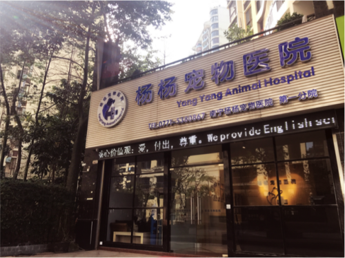 杨杨宠物医院(东盟店)