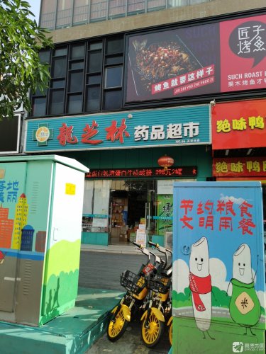 匠子烤鱼(定安天安店)