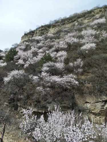 太原杜儿坪桃花沟