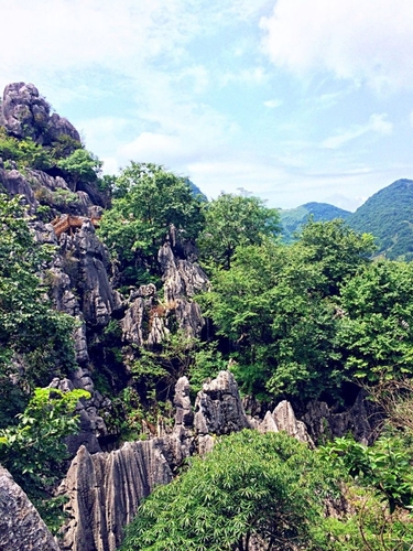 上饶市万年县旅行攻略