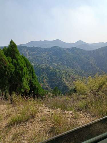 龙林山风景名胜区动物园