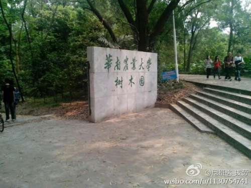 外景图