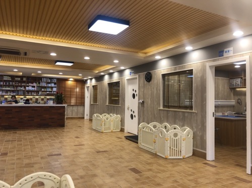 宠有道宠物医院(肥西店)