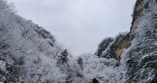 宝鸡北坡森林公园