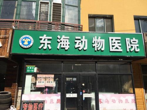 东海动物医院