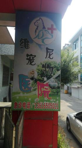 维尼宠物诊疗中心(秋月路)
