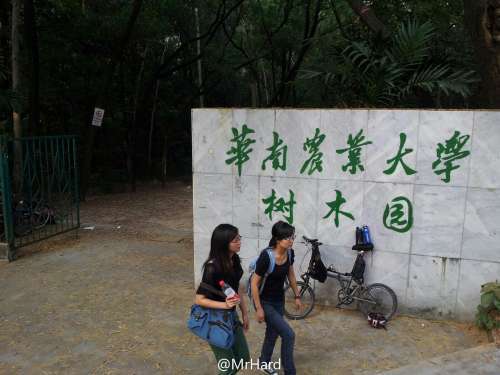 外景图