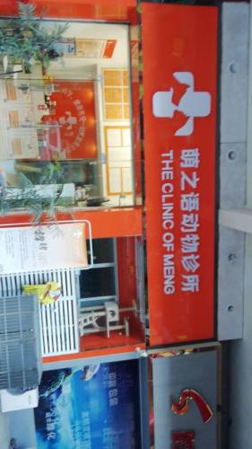 萌之语动物诊所