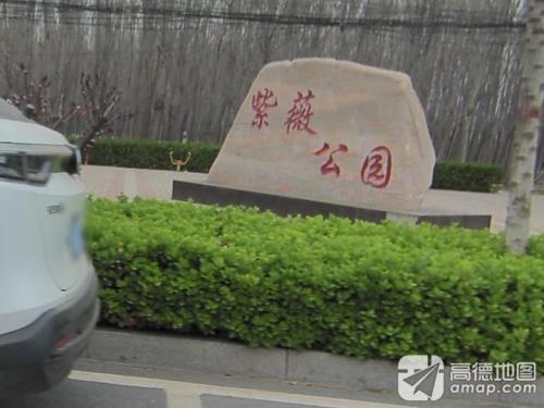 紫薇公园