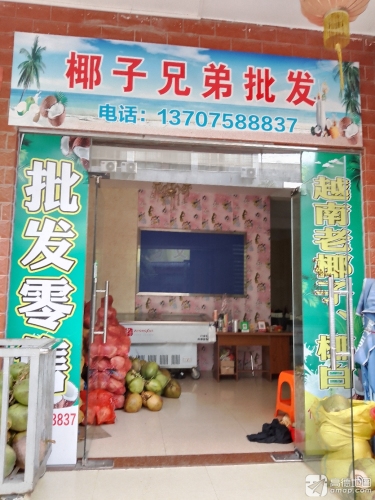 椰子兄弟批发