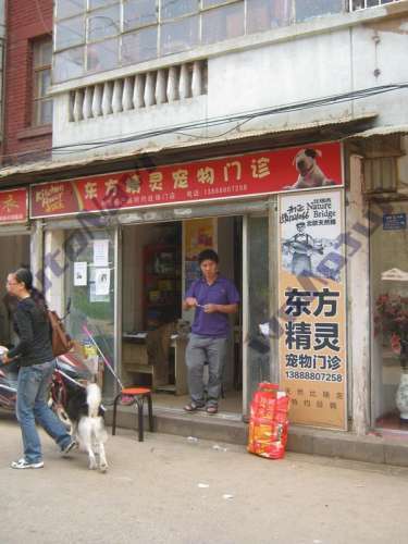 东方精灵宠物门诊
