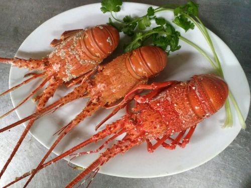 石景海鲜店
