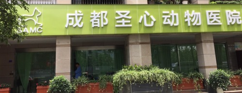 亚宠宠医成都圣心动物医院
