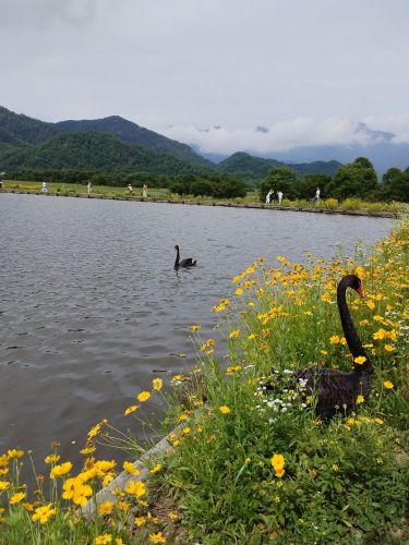 太和山景区-猕猴乐园