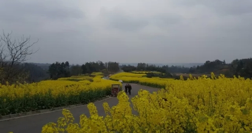 樱桃山旅游景区