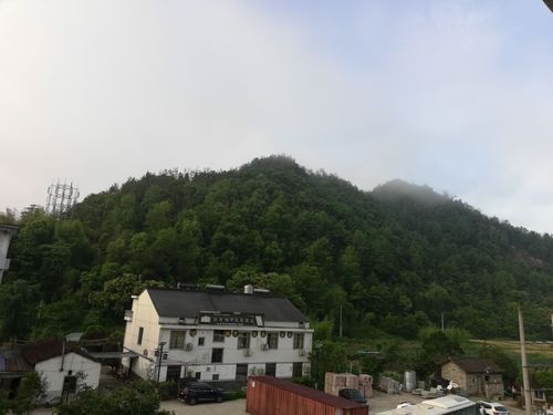 后岸乡居旅游景区