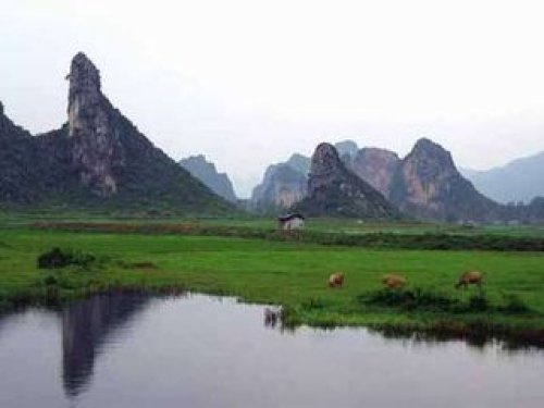 观音山国家级自然保护区