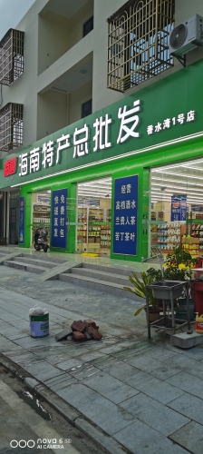 南国海南特产