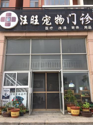 龙口东海汪旺宠物门诊