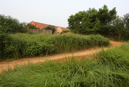 小平小道