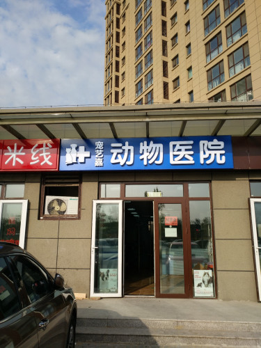 宠艺嘉动物医院