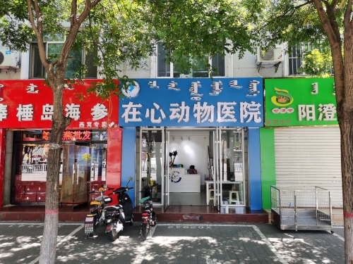 在心动物医院
