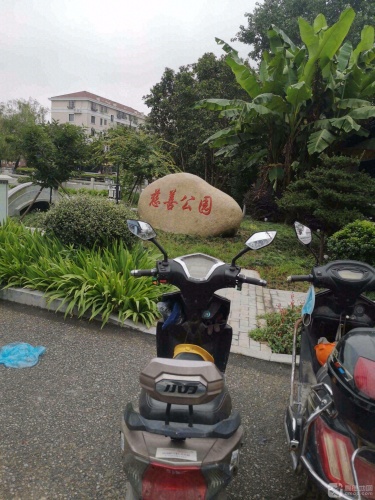 慈善公园