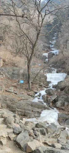 岱顶山风景区