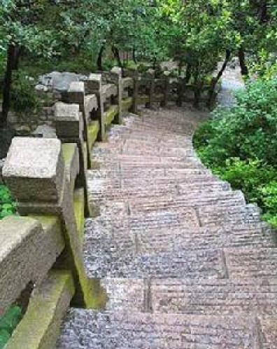 蟠龙山森林公园