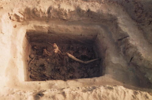 扎滚鲁克古墓群的第2张图片的图片资料