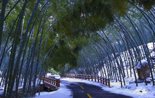 宜兴竹海风景区