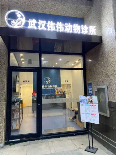 武汉伟伟动物医院(市民之家)