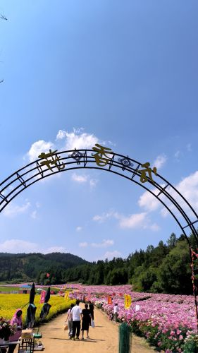 花香谷