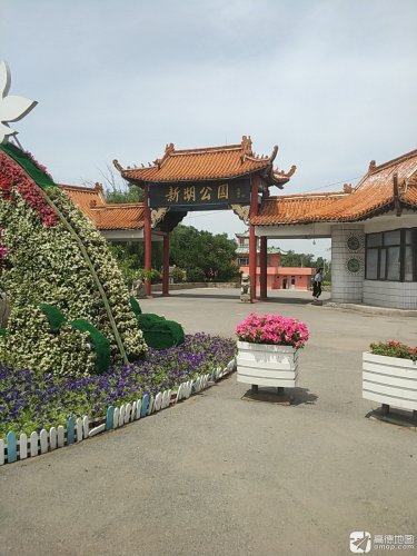 新湖公园