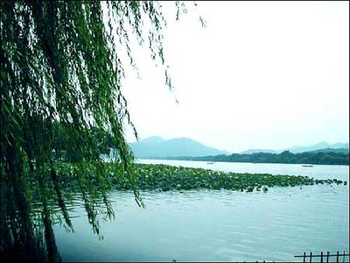 孤山