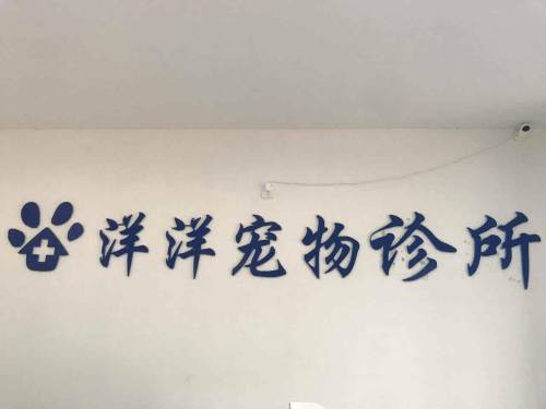 洋洋宠物诊所(九龙湖店)