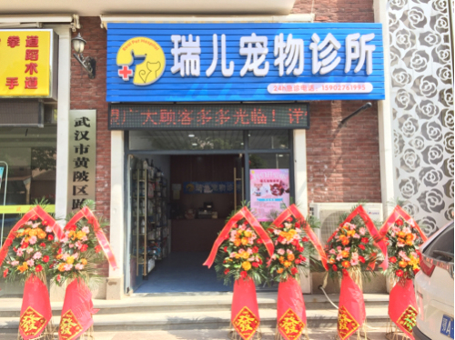 瑞儿宠物诊所