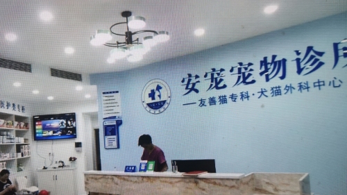 安宠宠物诊所